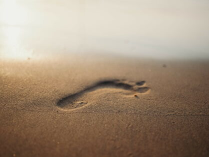 Product Carbon Footprint – Der CO2-Fußabdruck für Ihr Produkt
